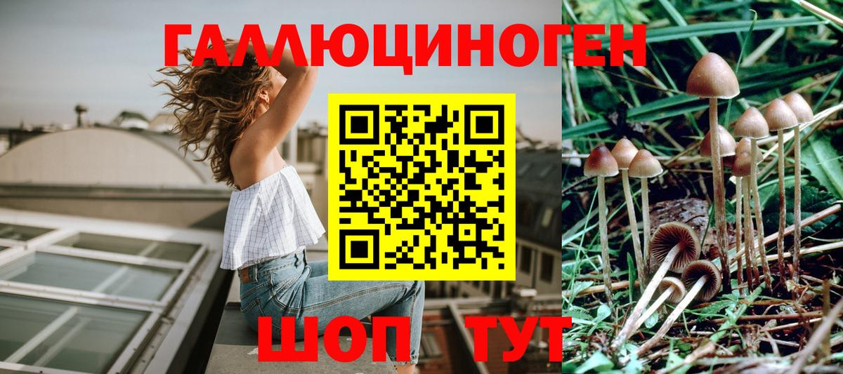 купить закладку  Псилоцибиновые грибы Magic Shrooms  Псилоцибиновые грибы прущие грибы  Вход с VPN  Владикавказ 