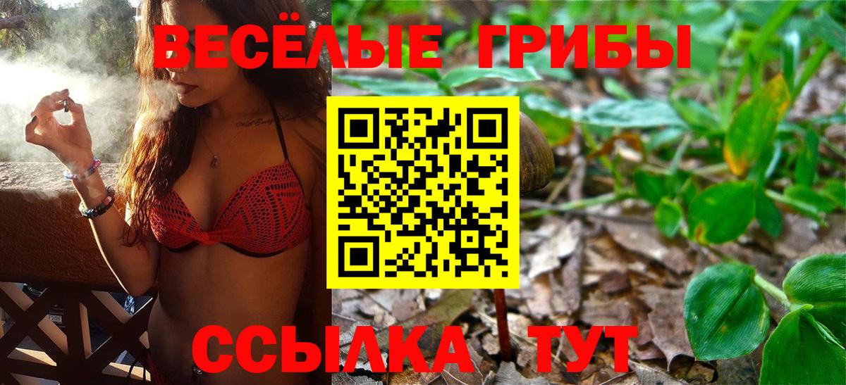 Галлюциногенные грибы Psilocybe Владикавказ